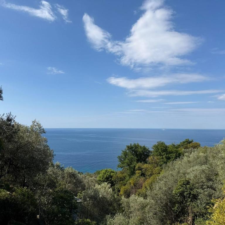 Oasi a Sant'Ilario - Two-Bedroom Apartment - 34
