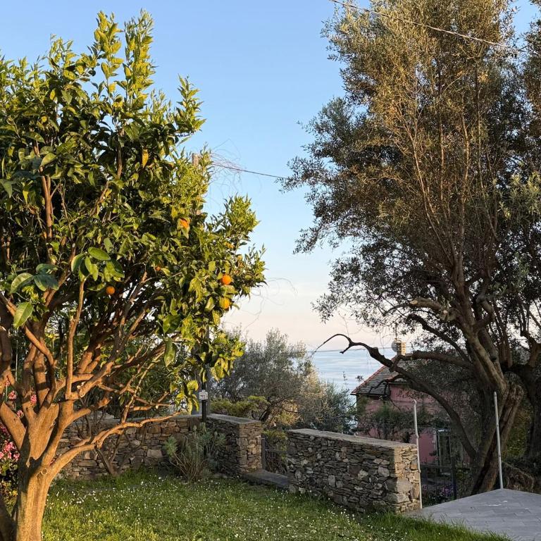 Oasi a Sant'Ilario - Two-Bedroom Apartment - 39