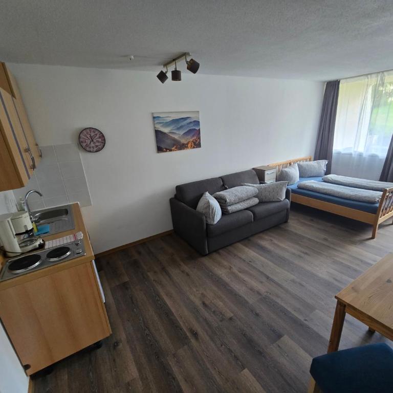 Apartment mit 4 Schlafplätze in Bayerischen Wald - Apartment mit 1 Schlafzimmer - 11