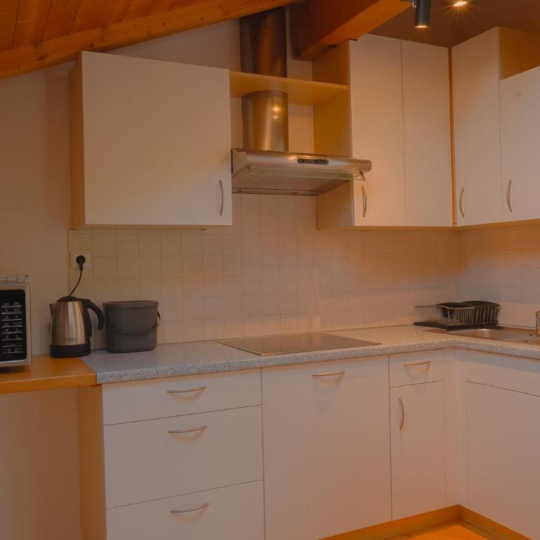 Apartments Bernard - Loft - 5