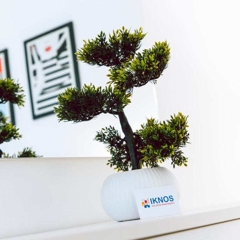Ichnos Loft 55 - Appartamento con 1 Camera da Letto - 14