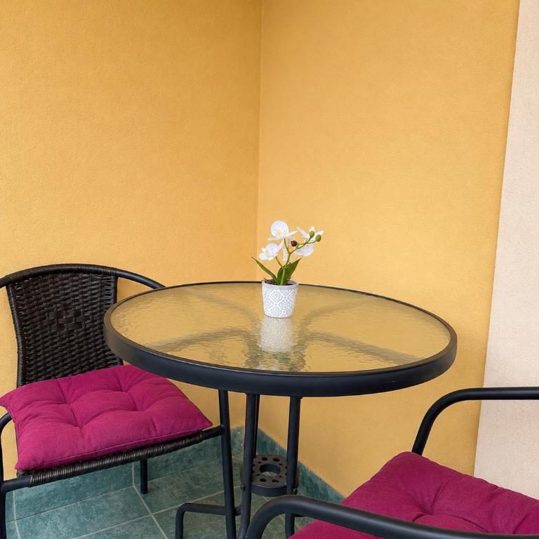 Djukanovic Apartments - Apartman s 2 Spavaće Sobe sa Balkonom i Terasom - 15