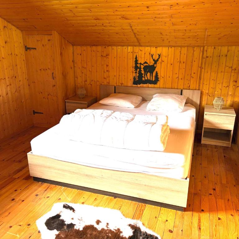 La Clusaz Ski aux pieds et randonnées - Chalet - 12