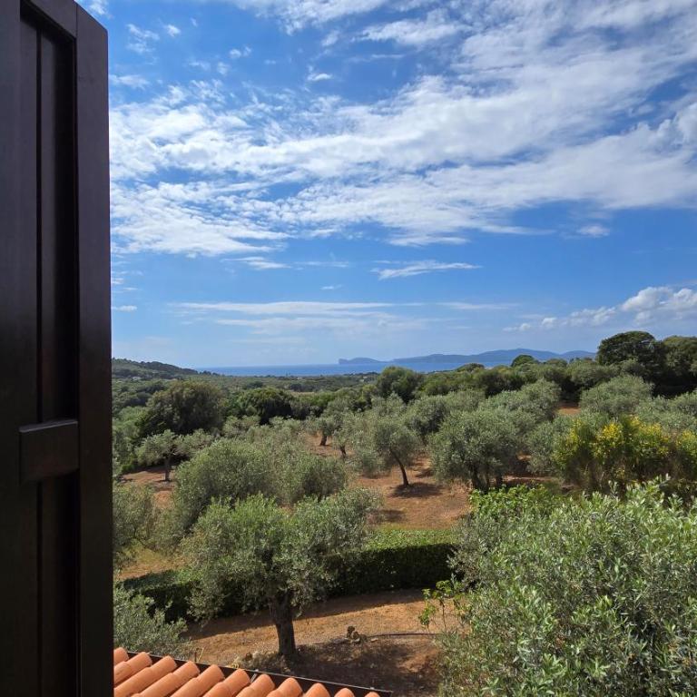Casetta degli Ulivi - Villa con 1 Camera da Letto - 32