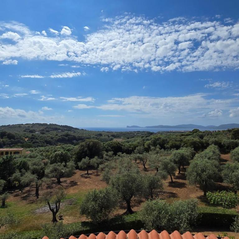 Casetta degli Ulivi - Villa con 1 Camera da Letto - 40