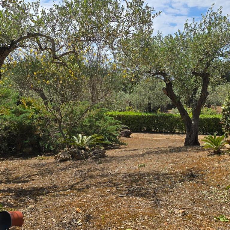 Casetta degli Ulivi - Villa con 1 Camera da Letto - 43