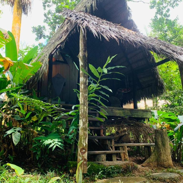 Jungle Cabin - Satori Natural - Standard Queen Room - 26