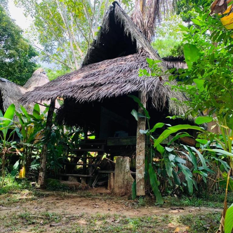 Jungle Cabin - Satori Natural - Standard Queen Room - 1