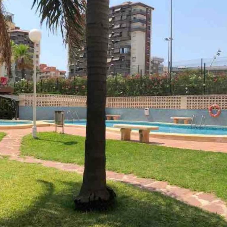 Gandía - Apartamento de 3 dormitorios - 9