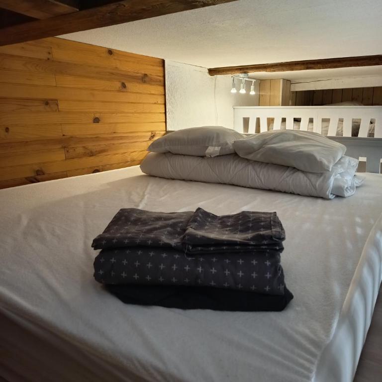 Le Nid Des Marmottes, hyper centre, draps et serviettes fournies - Appartamento con 1 Camera da Letto - 14