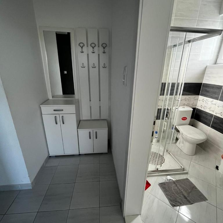Apartmani Igor Miloševi konaci - One-Bedroom Apartment - 10