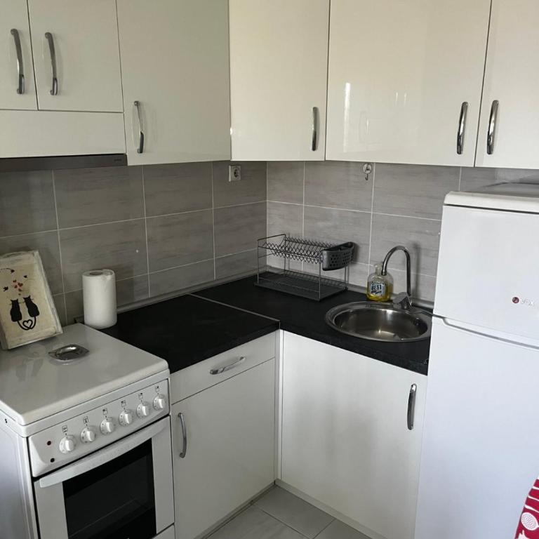 Apartmani Igor Miloševi konaci - One-Bedroom Apartment - 11