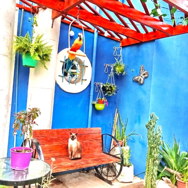 El Sitio Azul Cabañas - Apartamento de 2 dormitorios - 6