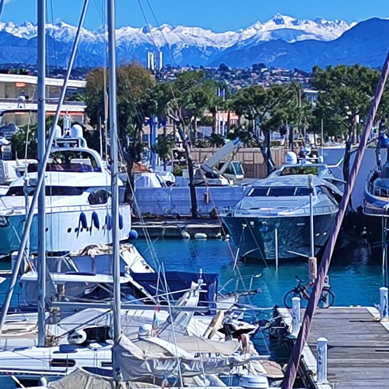 Baie des anges appartement Bis - Studio - Vue sur Mer - 48