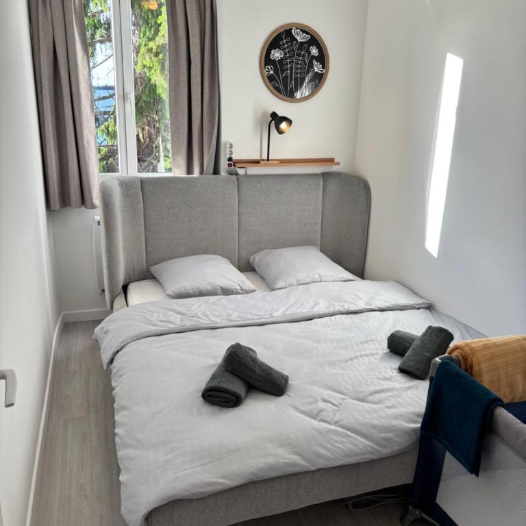 Appartement centre-ville Mulhouse - Appartamento con 2 Camere da Letto - 8