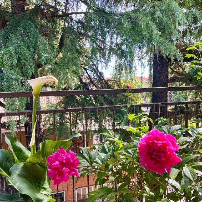 Bright Top Floor Apartment with Large Terrace - Appartamento con 1 Camera da Letto - 23