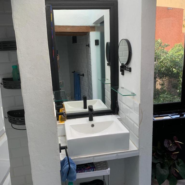 Loft del Perro Azul in Centro Historico - One-Bedroom Apartment - 16