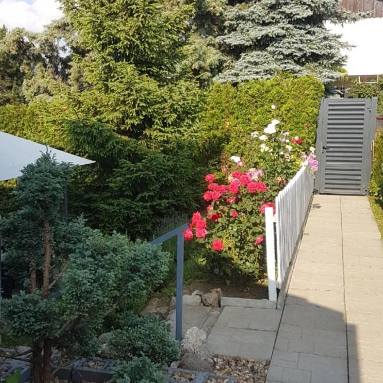 Vila Pogled - Apartman sa 2 Spavaće Sobe - 32