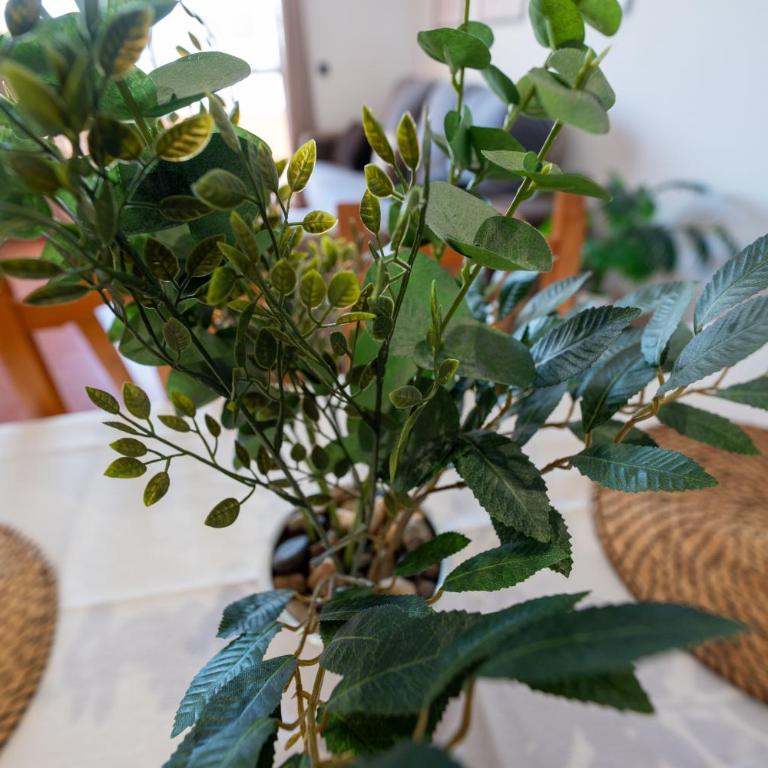 Bright & Spacious Apartment in Nerja Centre - Apartamento de 3 dormitorios - 17