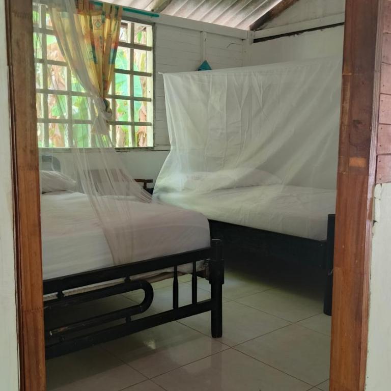 Coco Encantado Eco Hostal Camping - Tent - 2