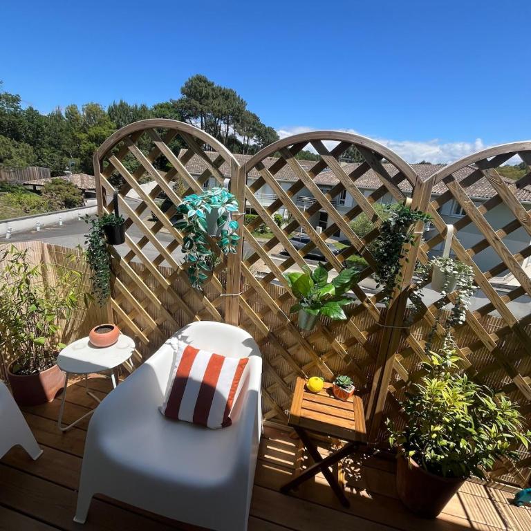 Apartment in Capbreton between forest and ocean - One-Bedroom Apartment - 13