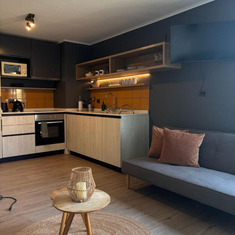 Urbano 308 - One-Bedroom Apartment - 13
