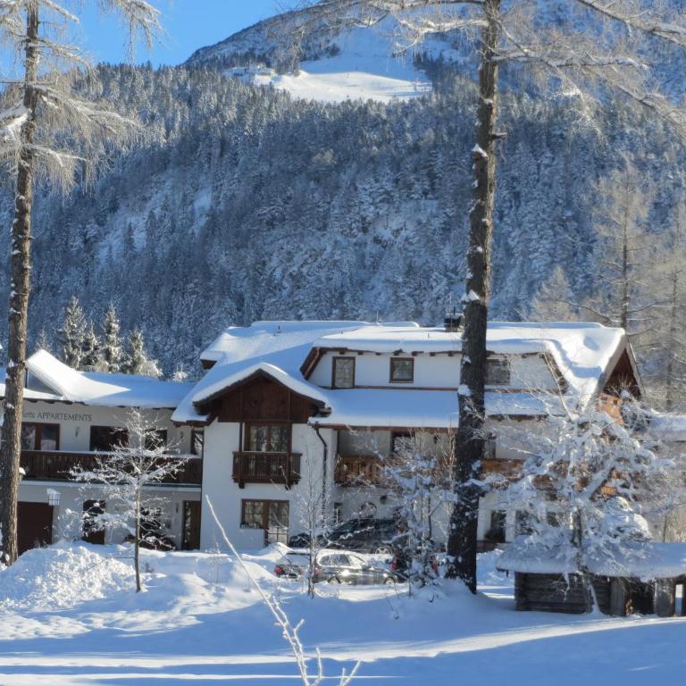 Haus Elisengrund am Geigenbuehel - chalet privé - Haus mit 4 Schlafzimmern - 60