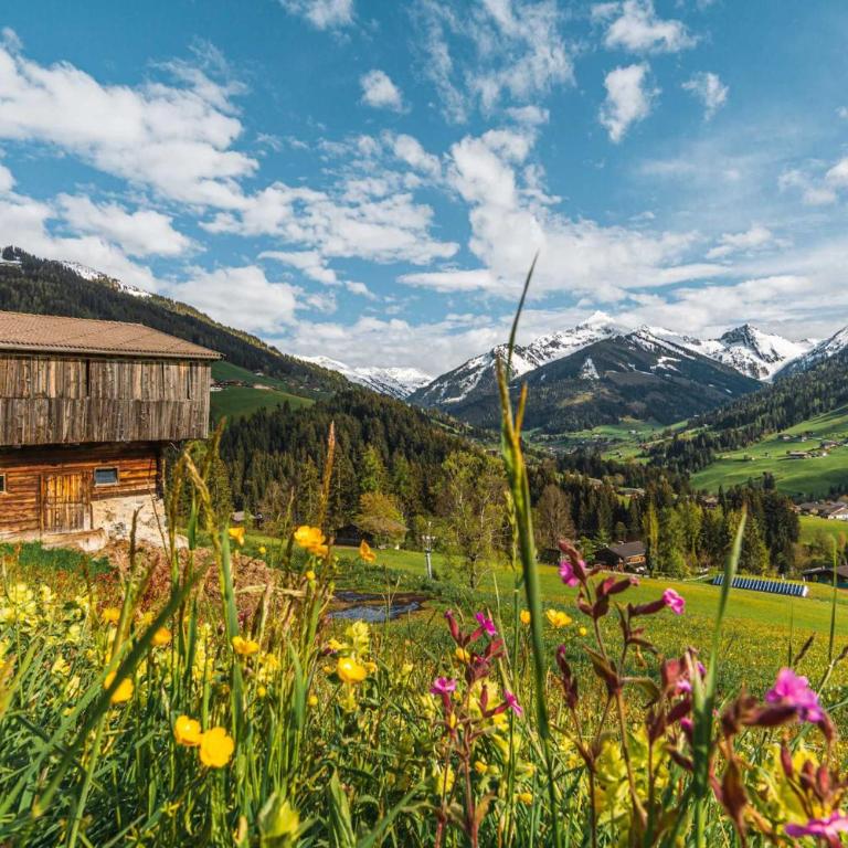 NINA's Chalet with Pool & Sauna Access - Chalet - 31