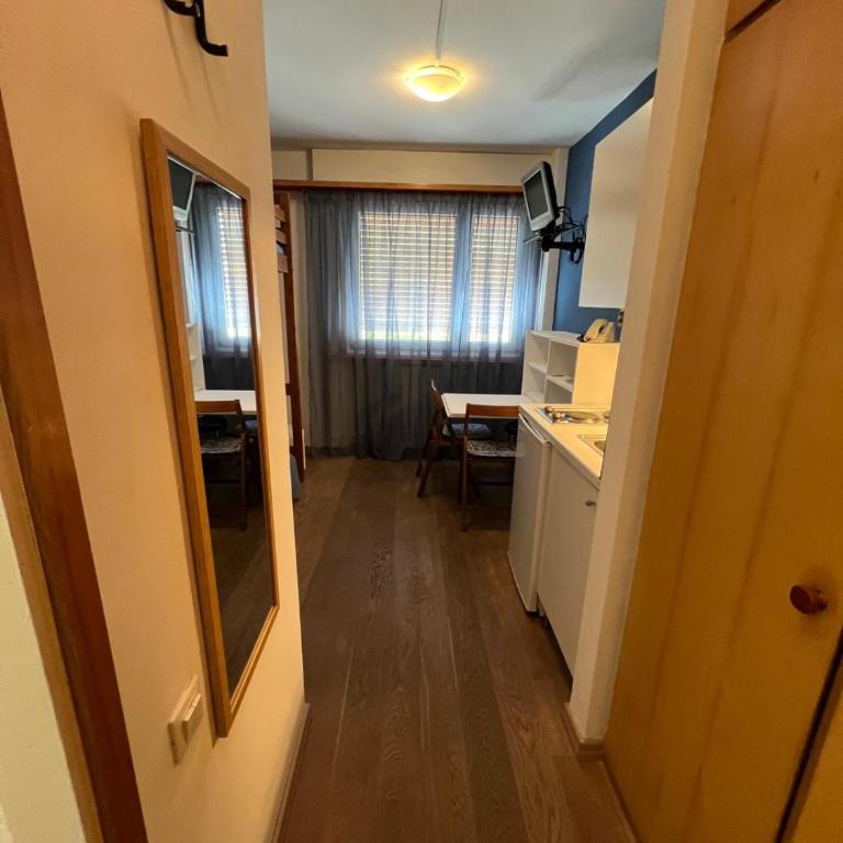Appartamento Alpe di Siusi - Monolocale - 81