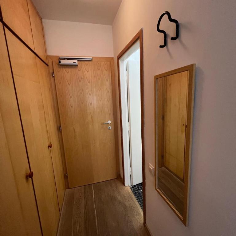 Appartamento Alpe di Siusi - Monolocale - 94