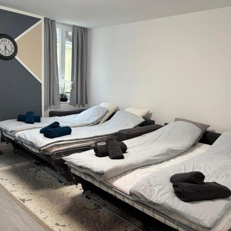 Appartement centre-ville Mulhouse - Appartamento con 2 Camere da Letto - 7