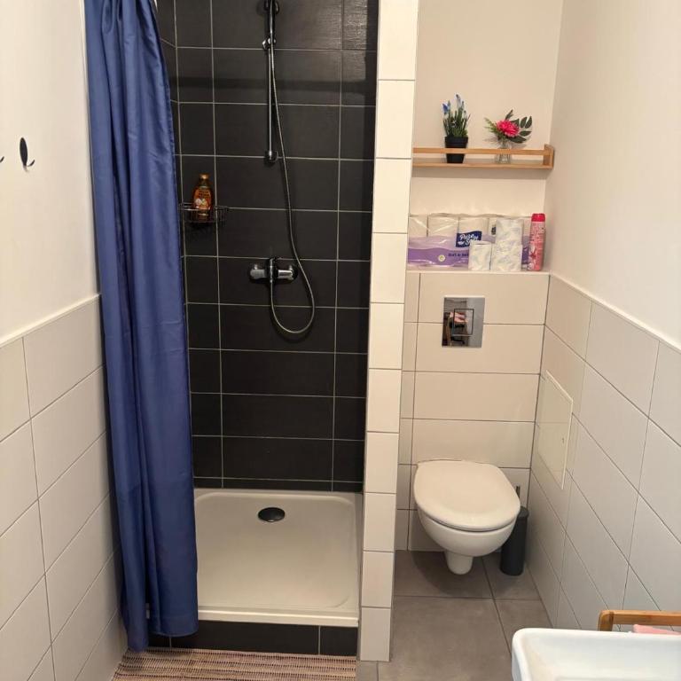 Appartement centre-ville Mulhouse - Appartamento con 2 Camere da Letto - 12