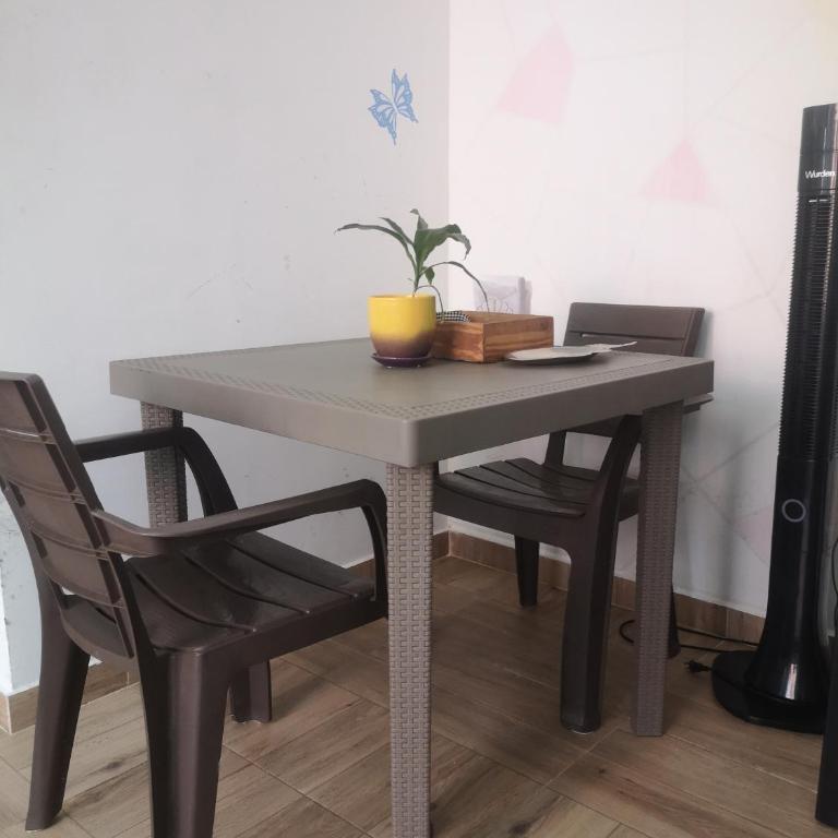 Cat'shotel - Apartamento de 1 dormitorio - 3