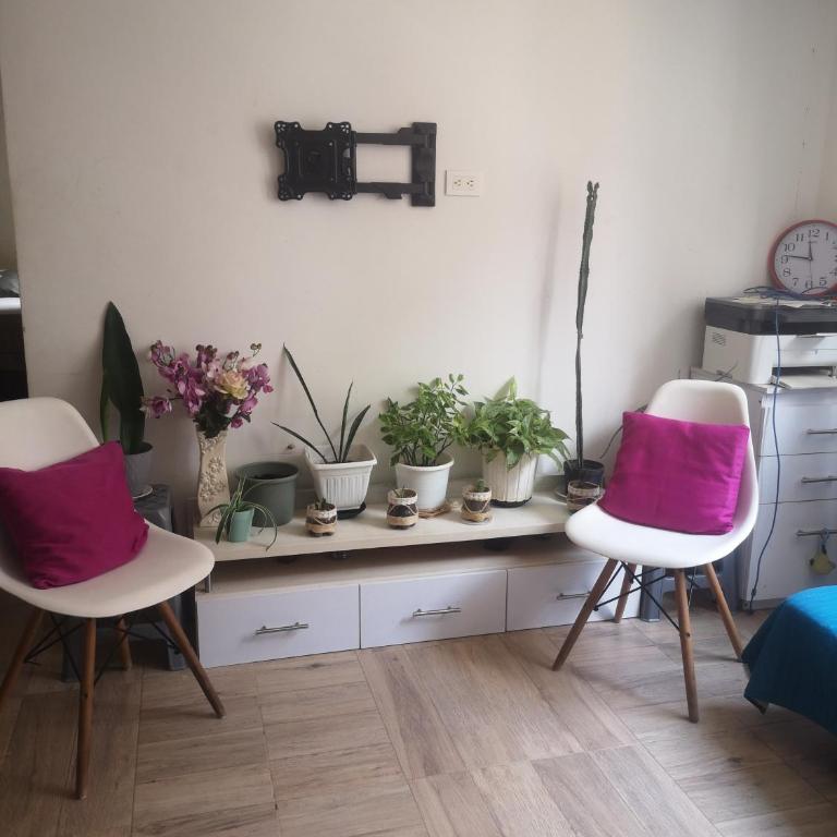 Cat'shotel - Apartamento de 1 dormitorio - 11
