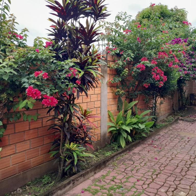 BUNGAVILLA HOUSE Tarapoto - Casa Unifamiliar de 2 dormitorios - 42
