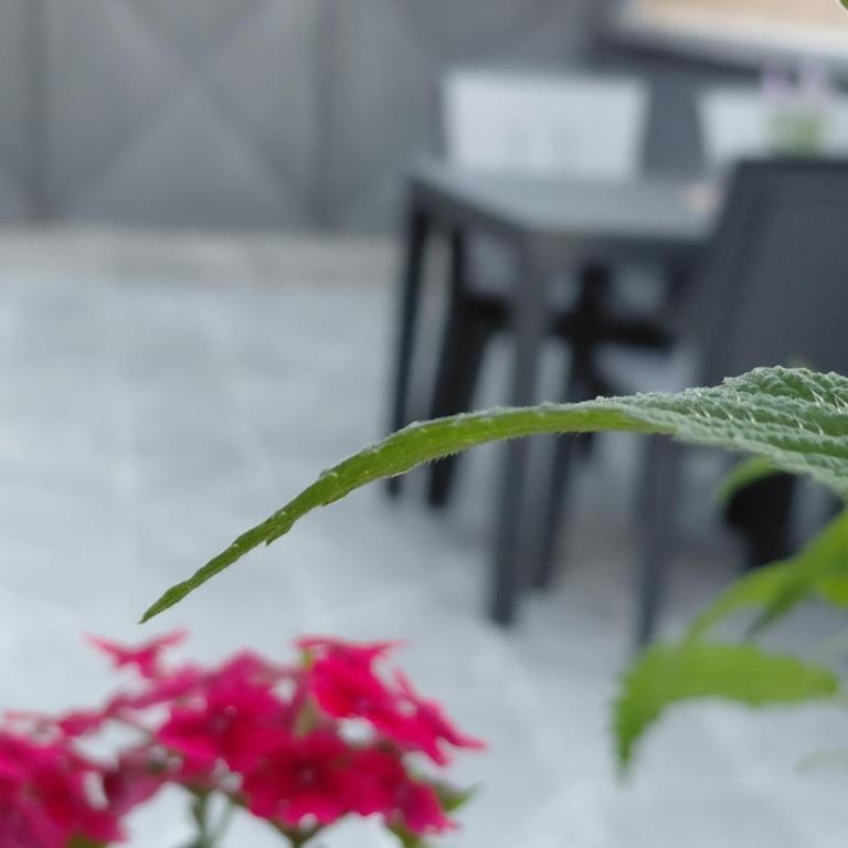 Avlija Mostar - Apartman sa 1 Spavaćom Sobom - 2