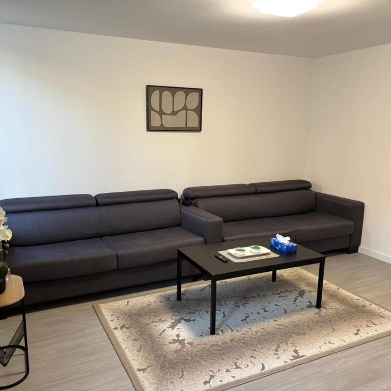 Appartement centre-ville Mulhouse - Appartamento con 2 Camere da Letto - 3