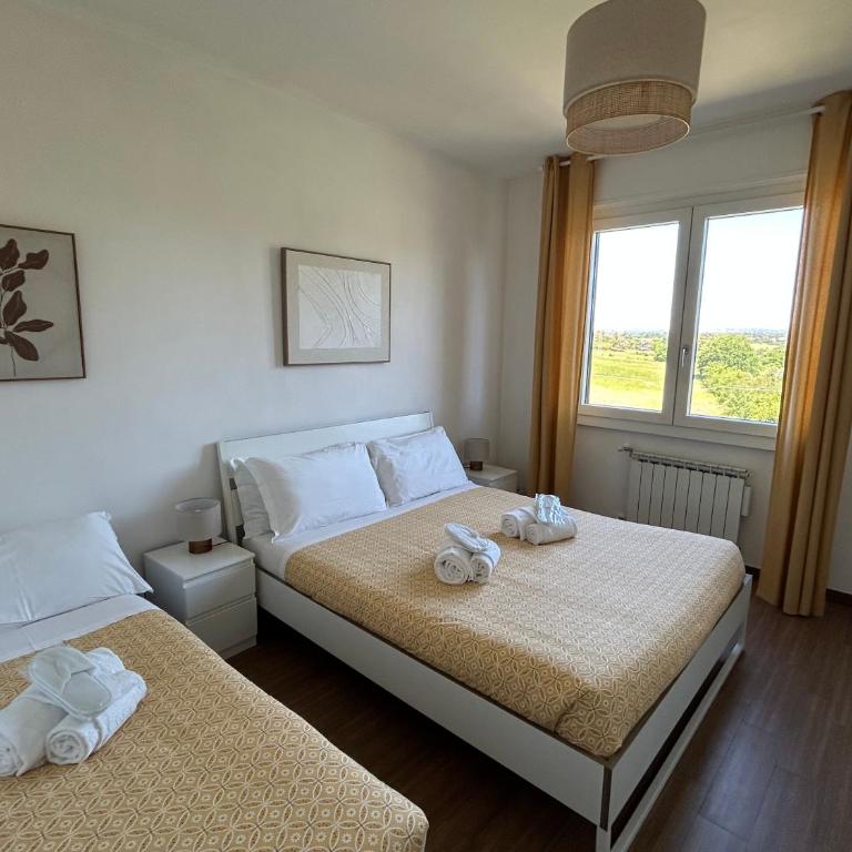 Domus Colli d'Oro - Apartment mit 2 Schlafzimmern - 40