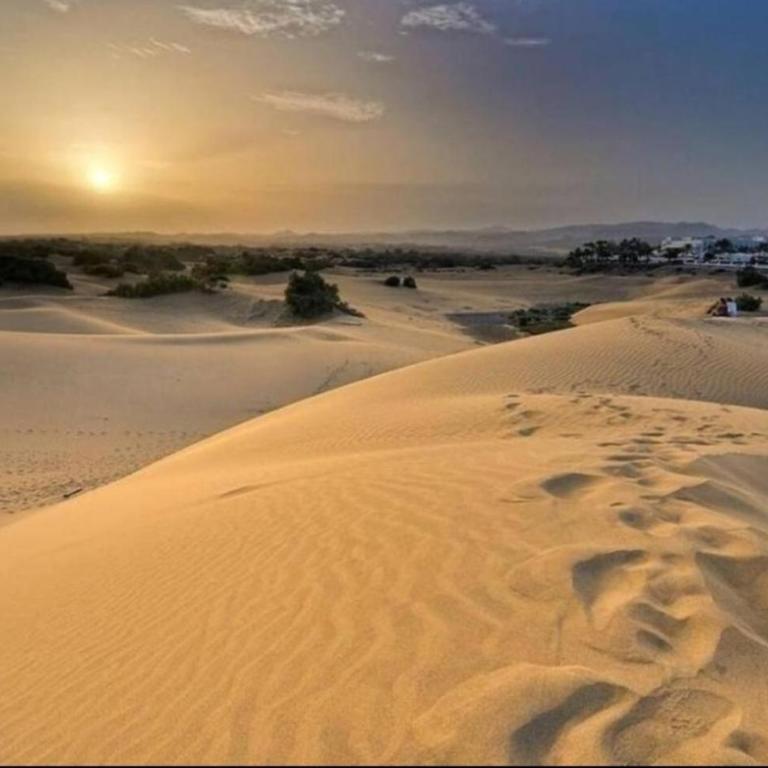 Green Holiday Island Maspalomas - One-Bedroom House - 23