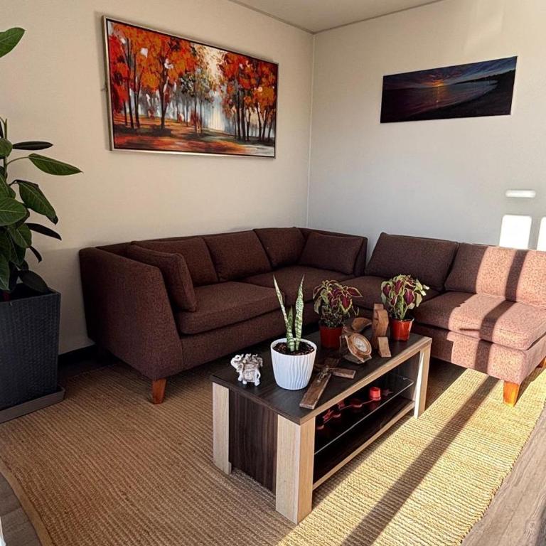 Paraisopingueral - Casa con 1 dormitorio - 13
