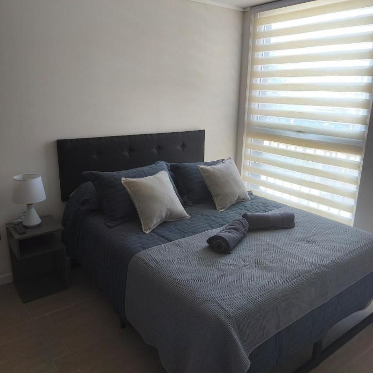 Moderno y Calido Departamento cerca del Parque Almagro - Apartamento de 2 dormitorios - 5
