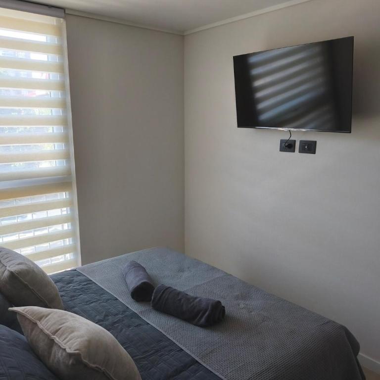 Moderno y Calido Departamento cerca del Parque Almagro - Apartamento de 2 dormitorios - 9