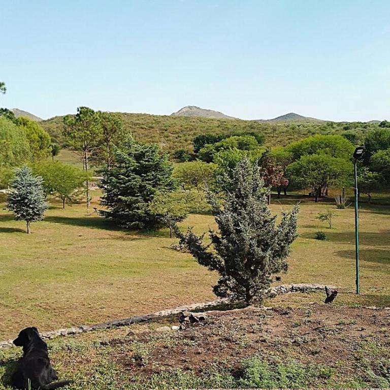Rancho Suite Tiny House en Campo Los Pinares - One-Bedroom Apartment - 2