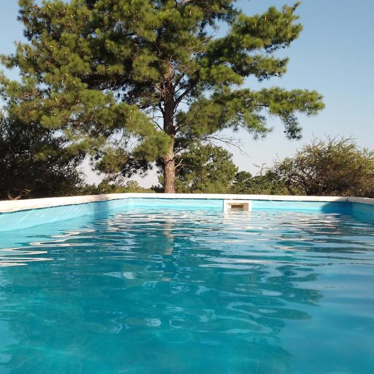 Rancho Suite Tiny House en Campo Los Pinares - One-Bedroom Apartment - 6