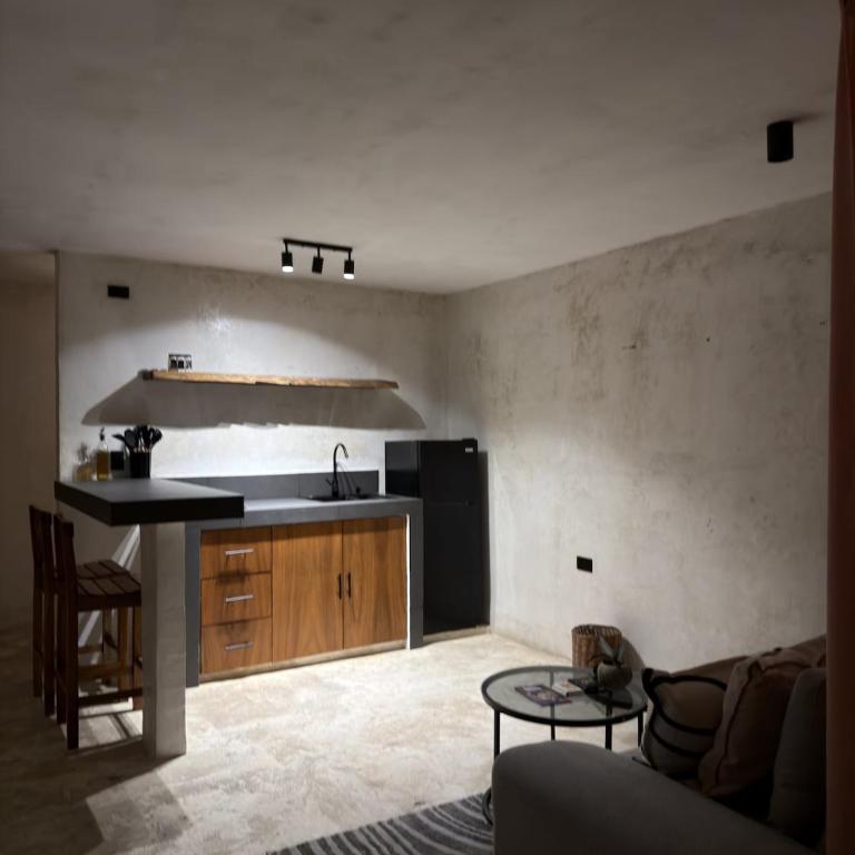 Bello departamento centrico - Apartamento de 1 dormitorio - 15