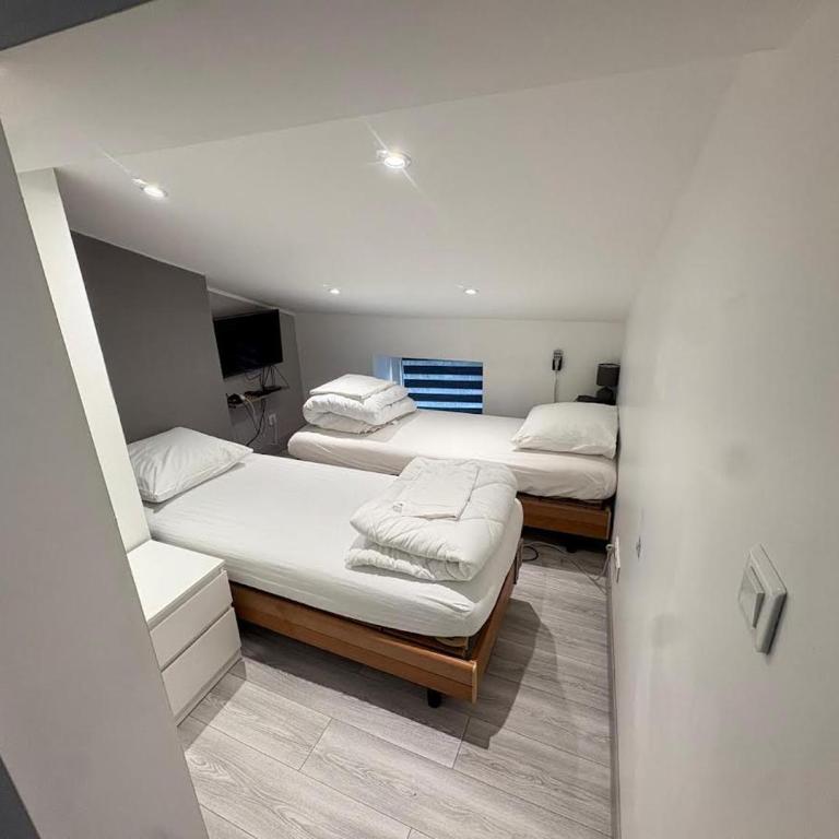 Sci ZLR - Four-Bedroom Apartment - 12
