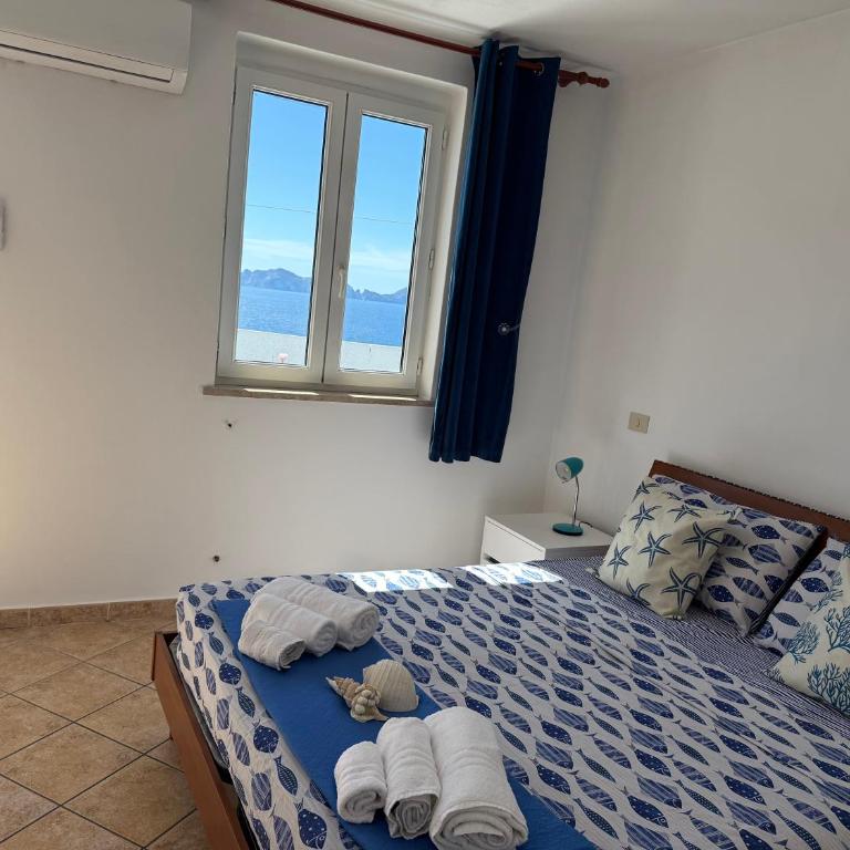 Ponzamania Terrazza sul tramonto - Appartamento Standard con 2 Camere da Letto - 18