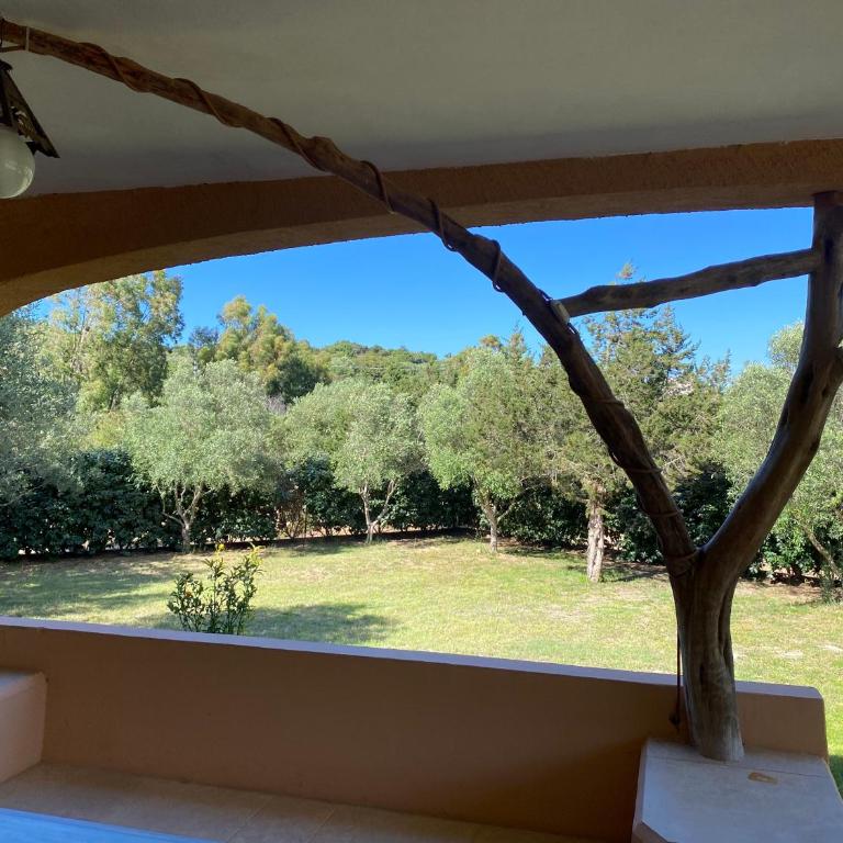Casa Pina - Three-Bedroom Home - 9