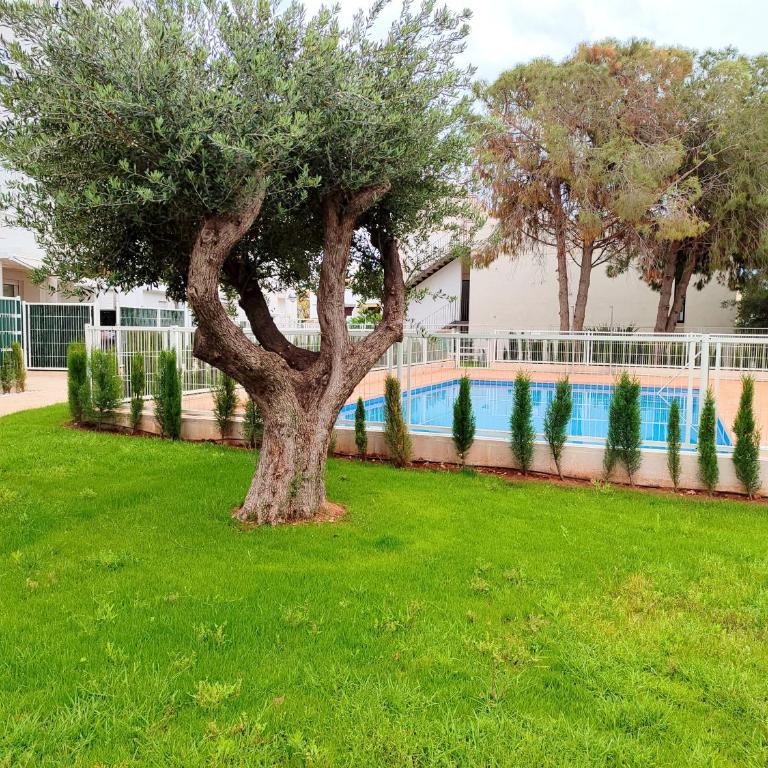 Ona Residencial Luxury Alcossebre ALBERT VILLAS - Apartamento con vistas a la piscina - 44