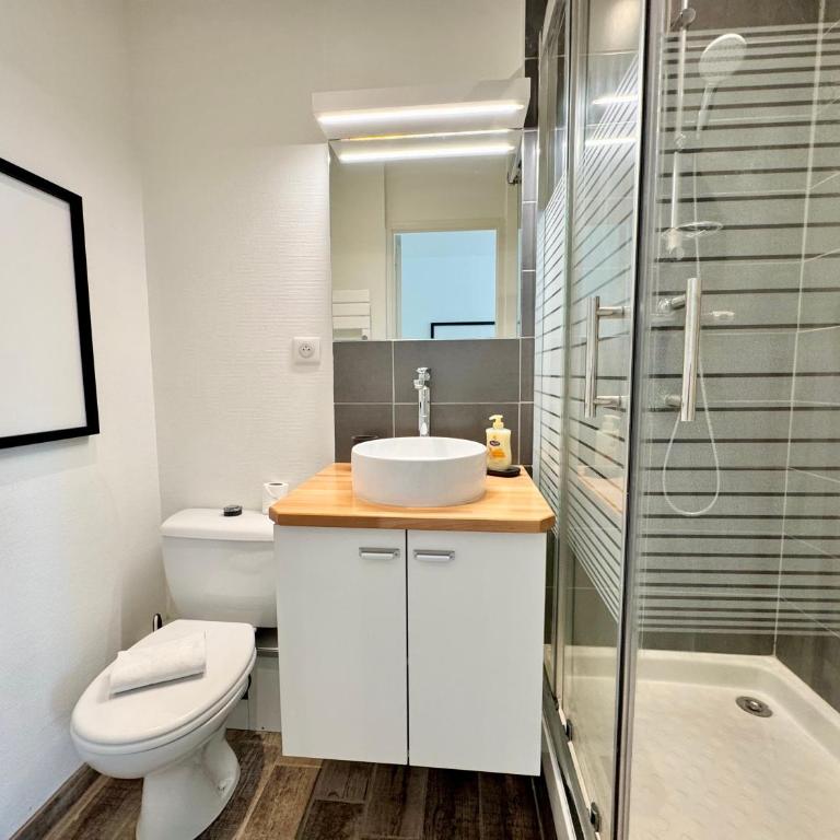 L'Antrain, Rennes centre - Apartamento de 1 dormitorio - 12